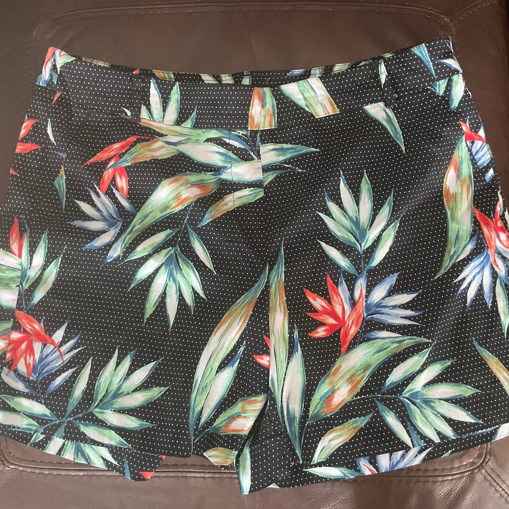 Zach and Rachel Size 14 Shorts